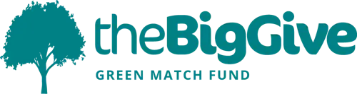 TBG Green Match Fund Logo Green (1).png